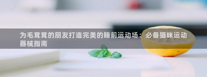 尊龙凯时登录：为毛茸茸的朋友打造完美的睡前运动场：必