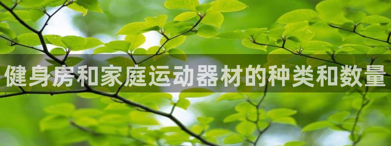 尊龙人生就是博菲律宾台子：健身房和家庭运动器材的种类