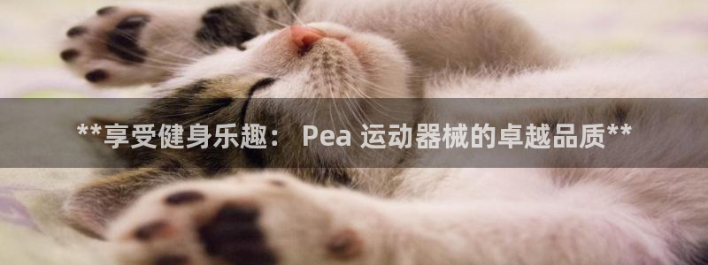 尊龙凯时官方网站：**享受健身乐趣： Pea 运动器